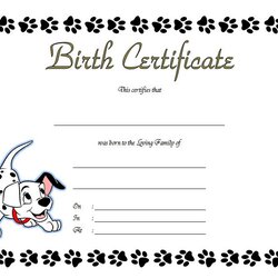 Puppy Birth Certificate Template Special Editions Dog Pet Word Bear Build Printable Editable Templates Blank