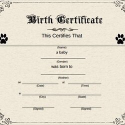 Exceptional Pin By On Puppies For Free Dog Birth Certificate Pet Editable Adoption