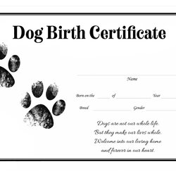 Fine Printable Free Puppy Birth Certificate Template Templates