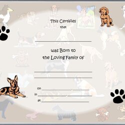 Admirable Best Puppy Birth Certificate Template Dog