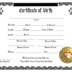 Champion Puppy Birth Certificate Digital Download Printable Pet