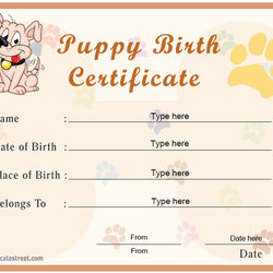 Capital Free Printable Dog Birth Certificate Puppy Certificates Sc