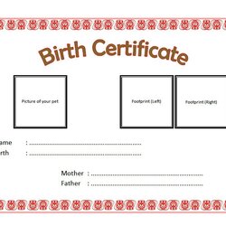 Brilliant Dog Birth Certificate Template Editable Designs Free Fresh