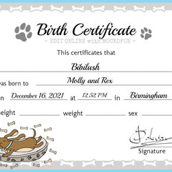 Terrific Puppy Birth Certificate Template Get What You Dog