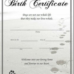 Spiffing Pet Birth Certificate Designs Templates