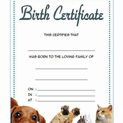 Magnificent Best Dog Birth Certificate Template Editable In Certificates Adoption