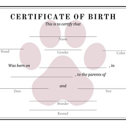 Preeminent Puppy Birth Certificate Digital Download Dog Breeder