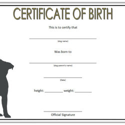 Superior Dog Birth Certificate Template Editable Designs Free Fresh Puppy