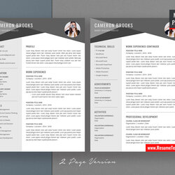 High Quality For Mac Pages Professional Template Resume Job Editable Curriculum Vitae Modern Creative Simple