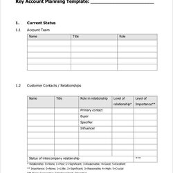 Strategic Account Plan Templates Free Sample Example Format Download Template Key Planning