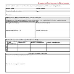 High Quality Strategic Account Plan Template For Sales Released By Four Quadrant