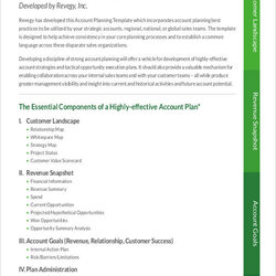 Perfect Strategic Account Plan Templates Free Sample Example Format Download Template Planning