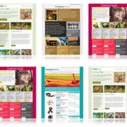 Legit Best Microsoft Publisher Newsletter Templates Newsletters Marketing Responsive Chimp