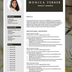Fine Modern Resume Template Download For Free