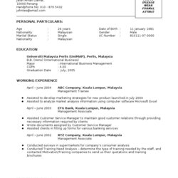 Swell Resume Template