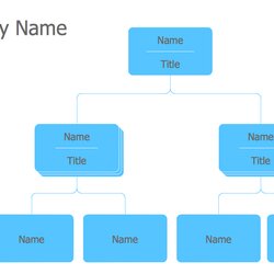 Legit Organization Chart Templates Organizational Template Word Business Draw Structure Sample Charts Example