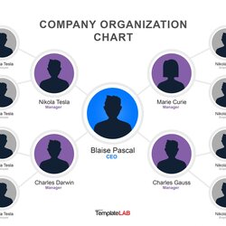 Worthy Organizational Chart Templates Word Excel Template Structure Sample Format Example Org