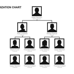Magnificent Organizational Chart Templates Word Excel Pertaining Hierarchy Regard Impressive Regarding