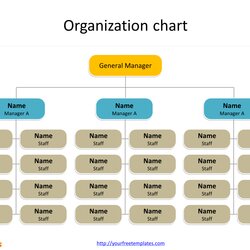 Splendid Organizational Chart Template Flow