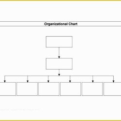 Free Org Chart Template Of Organizational Templates Blank Word Flow Structure Organization Charts Business
