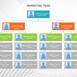 Sterling Free Org Chart Template Unique Organizational Templates Word