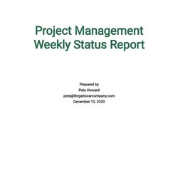 Brilliant Weekly Status Report Template Free Google Docs Word Project Management