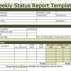 Champion Project Weekly Status Report Template Excel Professional
