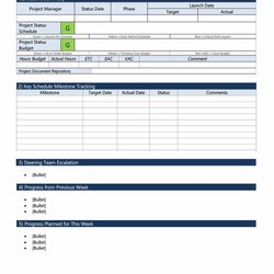 The Highest Standard Project Status Report Templates Word Excel Regarding Template Weekly Progress Summary