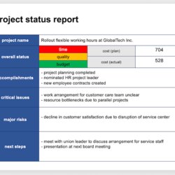 Weekly Project Status Report Template Professional Executives Appealing