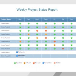 Smashing Weekly Project Status Report Templates Excel