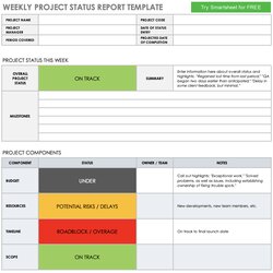 Weekly Project Status Report Example Template