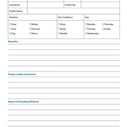 Swell Sample Construction Report Templates Word Google Docs Free Daily Template Format Details File Business