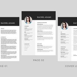 Spiffing Best Modern Resume Templates Word Template Source Brittany Free