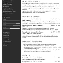 Marvelous It Project Manager Resume Sample In Of