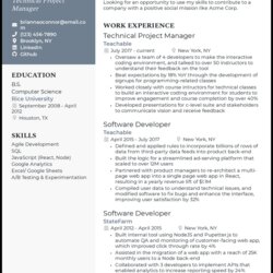 Great Project Manager Resume Examples That Got Jobs In Technical Example