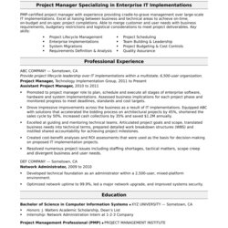 Splendid Project Manager Resume Summary Mt Home Arts Sample Examples Profile Management Professional Writing