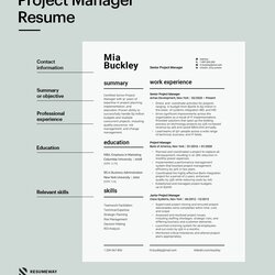 Very Good Project Manager Resume Examples Templates For Example
