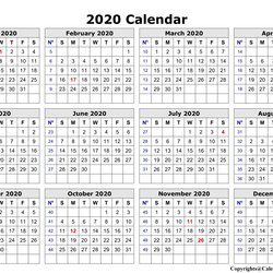 Fantastic Printable Blank Yearly Calendar Template Dream Editable Scaled