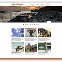 Magnificent Free Adobe Muse Templates Themes Website Template Design