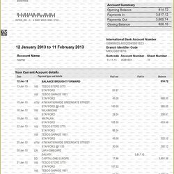 Marvelous Create Fake Bank Statement Template Download