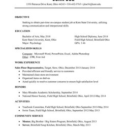 Exceptional College Student Resume Templates Format