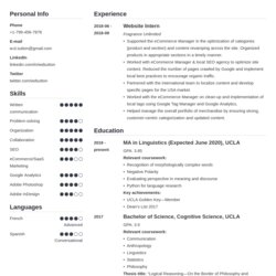 Excellent Student Resume Examples Templates For Template Simple