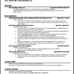 Superb Student Resume Microsoft Word Templates Sample