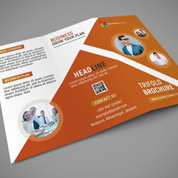 Splendid Professional Fold Brochure Template Download