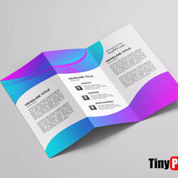 Wizard Brochure Template Google Docs Free Fold