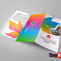 The Highest Standard Brochure Templates For Google Docs Panel Template