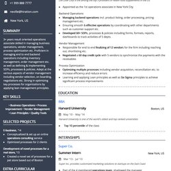 Professional Resume Templates For By Template Blue Ats Column Two