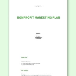 Nonprofit Plan Word Templates Design Free Download Template Marketing Format