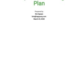 Tremendous Free Nonprofit Business Plan Templates Download In Word Marketing Template