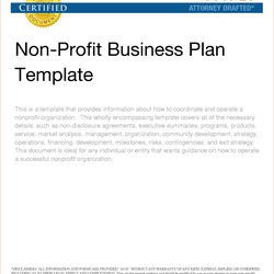 Template Ideas Nonprofit Business Plan Document Regarding